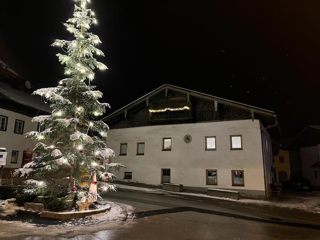 Stuwip Alps Appartement Sonnenstein فلبمس المظهر الخارجي الصورة